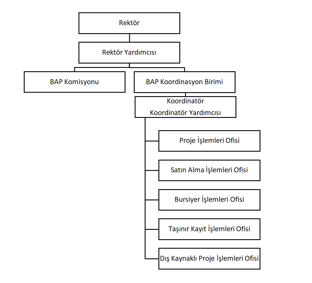 Organizasyon Şeması